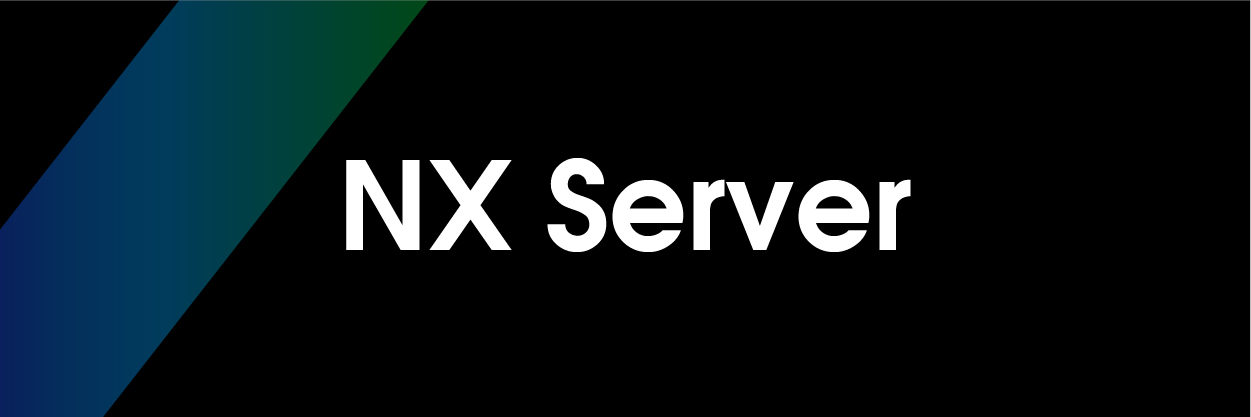 NX Server